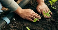 Actividades - Anpassung.webp