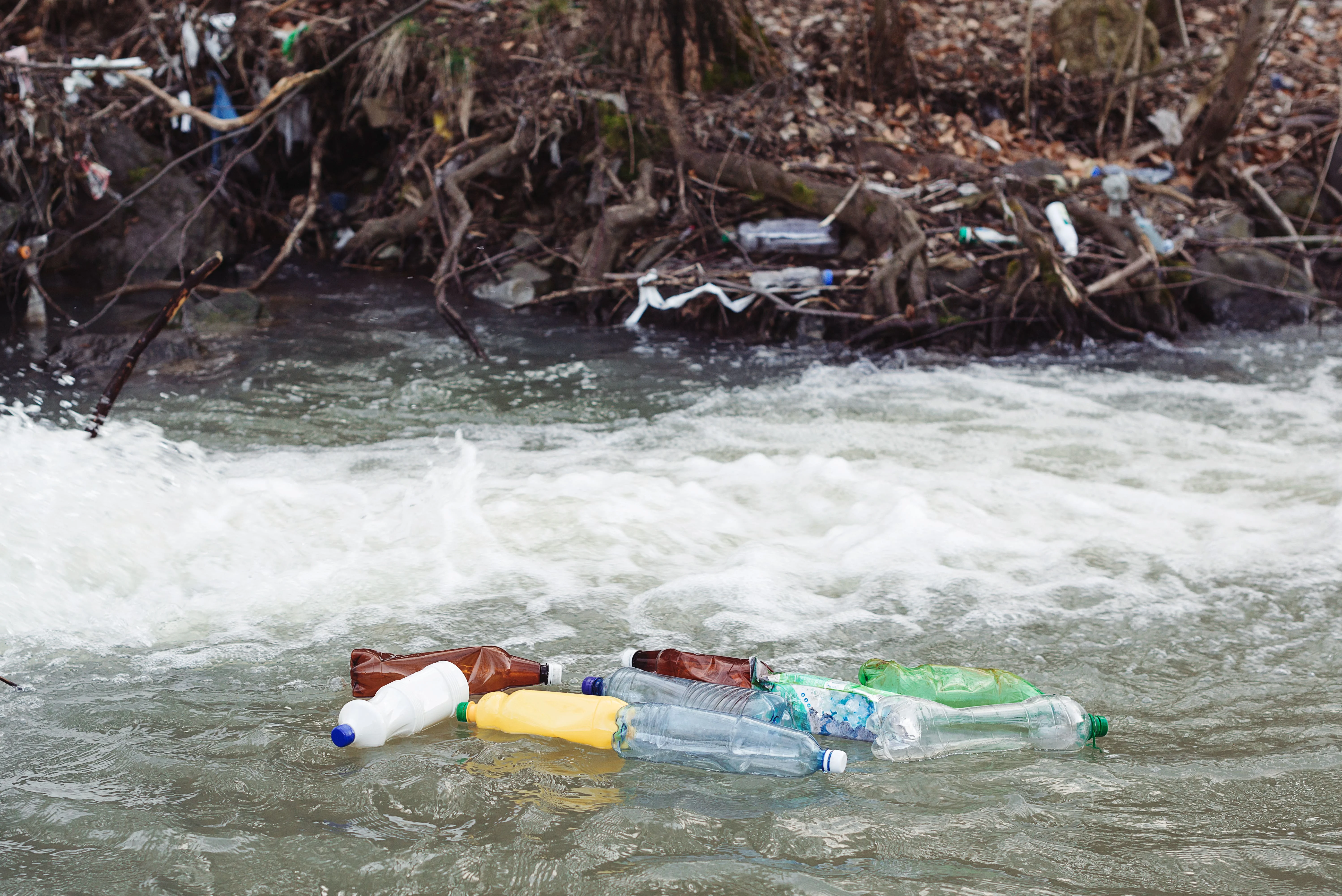 Actividades- Wasser(2).webp